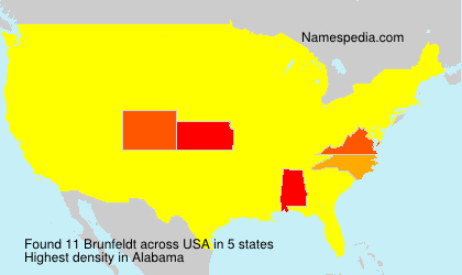 Surname Brunfeldt in USA Surname Brunfeldt in USA