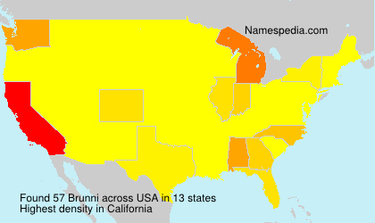 Surname Brunni in USA