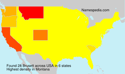 Surname Brusett in USA