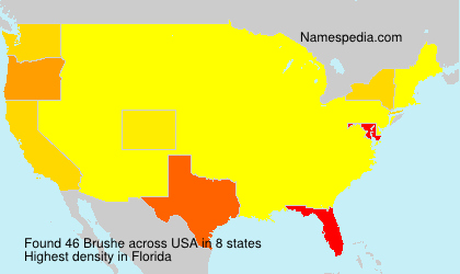 Surname Brushe in USA Surname Brushe in USA