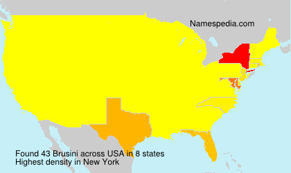 Surname Brusini in USA Surname Brusini in USA