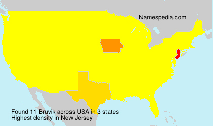 Surname Bruvik in USA Surname Bruvik in USA