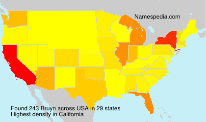 Surname Bruyn in USA Surname Bruyn in USA