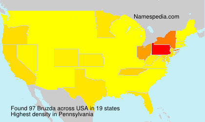 Surname Bruzda in USA Surname Bruzda in USA