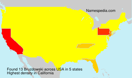 Surname Bruzdowski in USA Surname Bruzdowski in USA