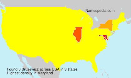 Surname Bruzewicz in USA Surname Bruzewicz in USA