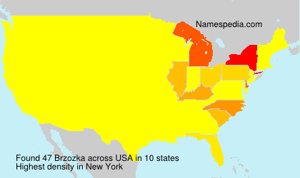 Brzozka Brzozka