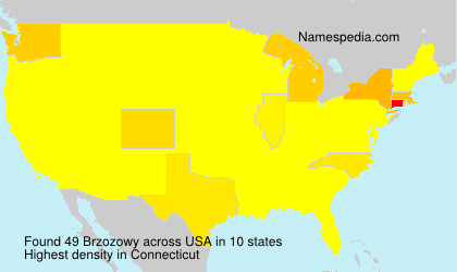 Surname Brzozowy in USA Surname Brzozowy in USA