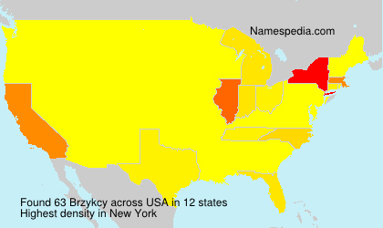 Surname Brzykcy in USA Surname Brzykcy in USA