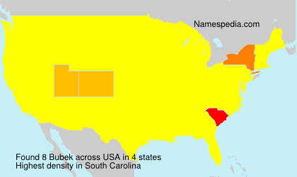 Surname Bubek in USA Surname Bubek in USA