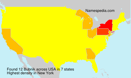 Surname Bubnik in USA Surname Bubnik in USA