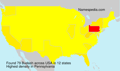 Surname Budash in USA Surname Budash in USA