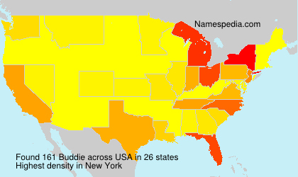 Surname Buddie in USA Surname Buddie in USA