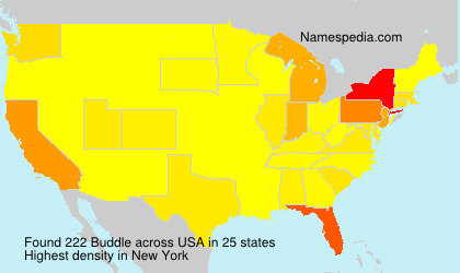 Surname Buddle in USA Surname Buddle in USA