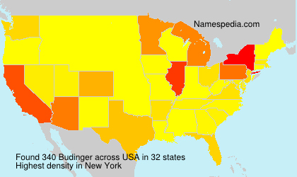 Surname Budinger in USA Surname Budinger in USA