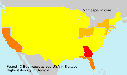 Surname Budinscak in USA Surname Budinscak in USA