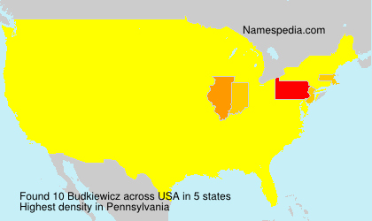 Surname Budkiewicz in USA