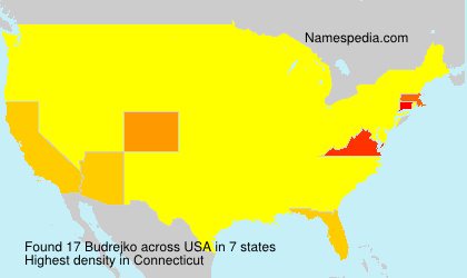 Surname Budrejko in USA Surname Budrejko in USA