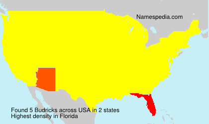 Surname Budricks in USA Surname Budricks in USA