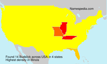 Surname Budslick in USA Surname Budslick in USA