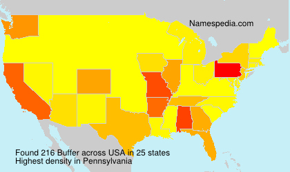 Surname Buffer in USA Surname Buffer in USA