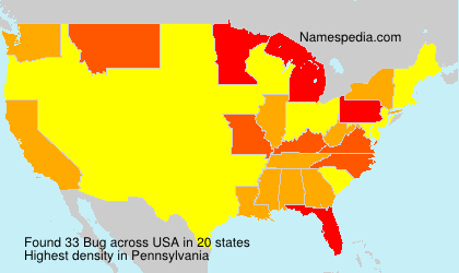 Surname Bug in USA Surname Bug in USA