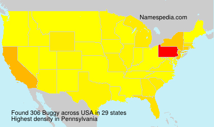 Surname Buggy in USA Surname Buggy in USA