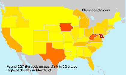 Surname Burdock in USA Surname Burdock in USA