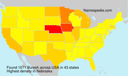Surname Buresh in USA Surname Buresh in USA
