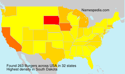 Burgers Burgers