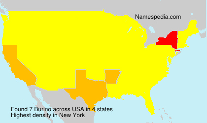 Surname Burino in USA Surname Burino in USA