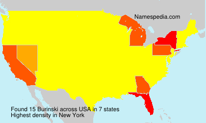 Surname Burinski in USA Surname Burinski in USA