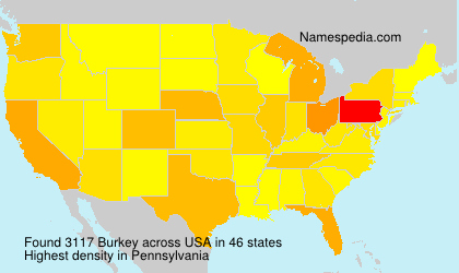 Surname Burkey in USA Surname Burkey in USA