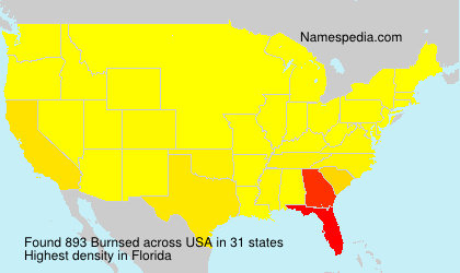 Surname Burnsed in USA Surname Burnsed in USA