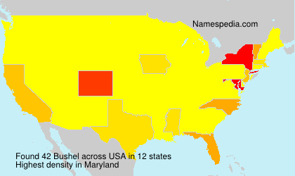 Surname Bushel in USA