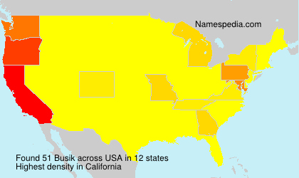 Surname Busik in USA Surname Busik in USA
