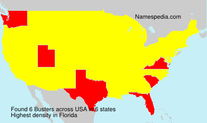 Surname Busters in USA Surname Busters in USA