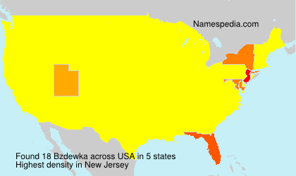 Surname Bzdewka in USA