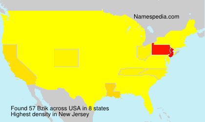 Surname Bzik in USA
