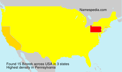 Surname Bzorek in USA