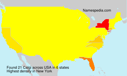 Surname Calgi in USA Surname Calgi in USA