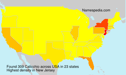 Surname Calicchio in USA Surname Calicchio in USA
