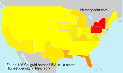 Surname Caliguiri in USA Surname Caliguiri in USA