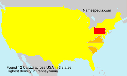 Surname Calizzi in USA Surname Calizzi in USA