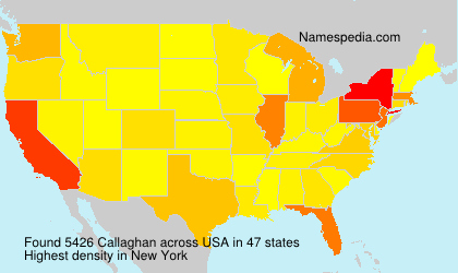 Surname Callaghan in USA Surname Callaghan in USA