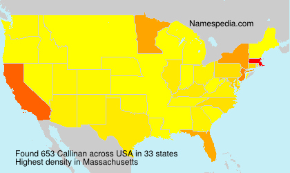 Surname Callinan in USA Surname Callinan in USA
