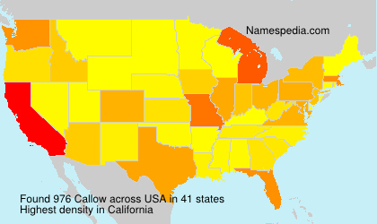 Surname Callow in USA Surname Callow in USA