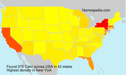 Surname Calvi in USA Surname Calvi in USA