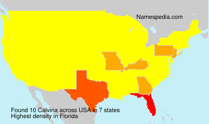 Calvina Calvina