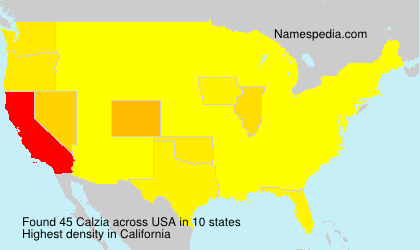 Surname Calzia in USA